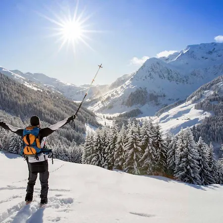 Апартаменты Penthouse Sonnenplatzl *