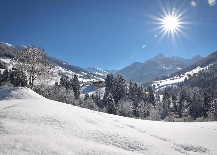 아파트 Penthouse Sonnenplatzl *