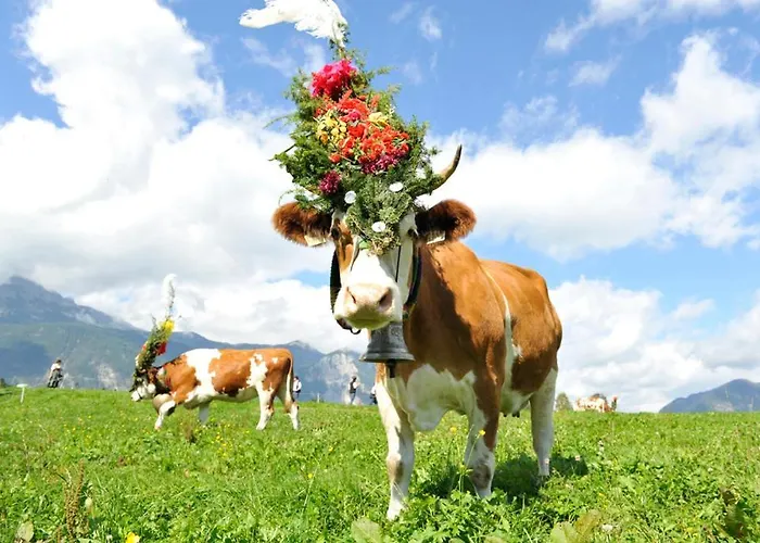 Penthouse Sonnenplatzl Apartamento *