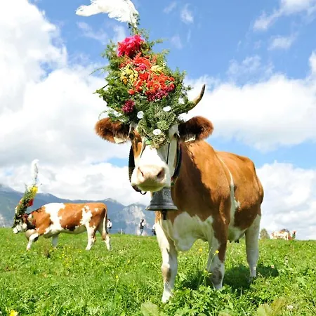 Penthouse Sonnenplatzl Apartman *